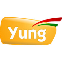 Yung logo - Similar company to Sysconnect Engenharia