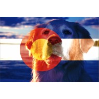 Collarado Canine Care, Llc