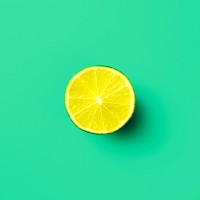 datazest logo - Similar company to Salterion