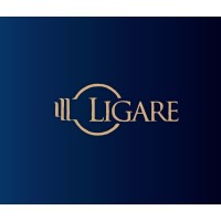 Ligare - Liga De Direito Dos Negócios