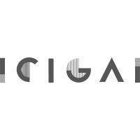 ICIGAI logo - Similar company to Abiel Netsolutions