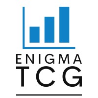 Enigma TCG logo - Similar company to Tempulse Global Consultancy B.V.