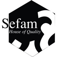 Sefam Private Limited logo - Similar company to Picaudience