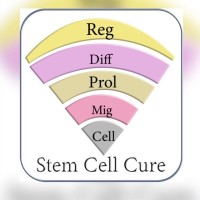 Stem Cell Cure India logo - Similar company to Histogenetics