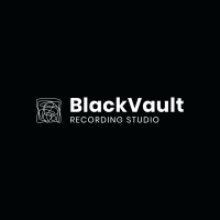 BlackVault Studio logo - Similar company to Musicera Ltd