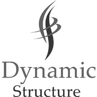 Dynamic Structure logo - Similar company to Büro Für Baudynamik