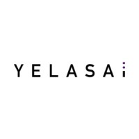 YELASAI logo - Similar company to Disruptive Engineering