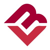 Branvision Technologies logo - Similar company to Bentadon.