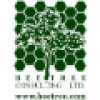 Bee Tree Consulting, Ltd.