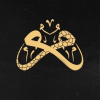 sMusicians | المسار الفني logo - Similar company to Garage Technologies