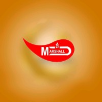 MARSHALL GROUP logo - Similar company to Aip Boess Group