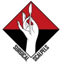 Studio Surgical Scalpels logo - Similar company to Datamesh