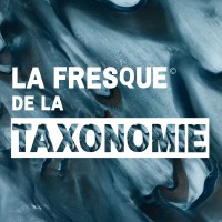 La Fresque de la Taxonomie logo - Similar company to La Fresque De L'Innovation Frugale / Frugal Innovation Impact