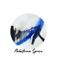 Pedestrian Space logo - Similar company to Stronger Coaching Und Physiotherapie