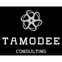 Tamodee Consulting logo - Similar company to Celero.Io