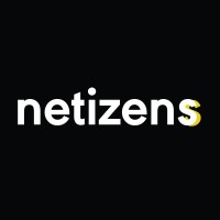 Netizen Solutions logo - Similar company to Digitalis Global