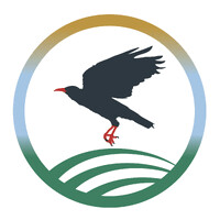 Cornwall SCITT logo - Similar company to Bluekite Creative Ltd.