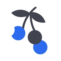 Snow Berry Systems logo - Similar company to Sifa Events