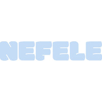Nefele Srl logo - Similar company to Hudo Consulting