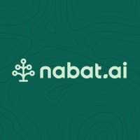 Nabat logo - Similar company to Ventureone