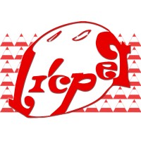 Licper Helmet Co., Ltd logo - Similar company to Aurora Sports Limited