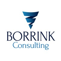 Borrink Consulting