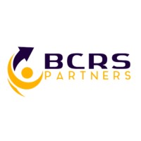 BCRS Partners logo - Similar company to Softwarenetic
