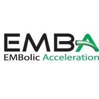 Embolic Acceleration logo - Similar company to Tag3 Engineering
