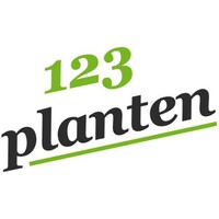 123kamerplanten logo - Similar company to Fleurdirect