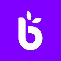 Blue Bird 360 logo - Similar company to Cgi Monkeys