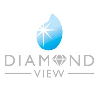 DIAMOND VIEW CLEANING SOLUTIONS logo - Similar company to Scandyna | Official Linkedin