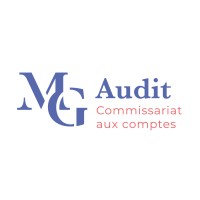 MG Audit logo - Similar company to Ancea