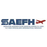 SAEFH logo - Similar company to Conect Pnd