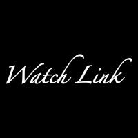 Watchlink logo - Similar company to It&M (Sg) Pte Ltd