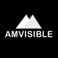 Amvisible logo - Similar company to Adfixer: Amazon Ppc On Autopilot