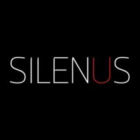 Silenus Pte Ltd logo - Similar company to Pinnacle Wine & Spirits