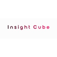 Insight Cube logo - Similar company to Insightcube