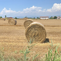Servizi Agricoli Informatizzati di Stevani Sara e C. s.n.c. logo - Similar company to Laser & Lipstick