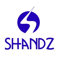 SHANDZ logo - Similar company to Edmi Limited