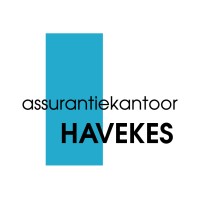 Havekes Advies & Verzekeringen logo - Similar company to Cvb - Centrum Voor Bedrijfsgezondheid