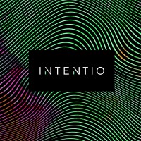 Intentio Parfums logo - Similar company to Selectedboat