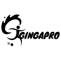GingaPro Soccer Gear logo - Similar company to Flickup