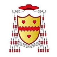 The Saint John Henry Newman Catholic School logo - Similar company to Thelearningjay