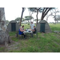 Shipungo Safari & Tours logo - Similar company to Safari Architects