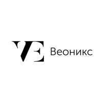 Veonix logo - Similar company to Bogg.Art Studio
