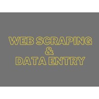 Web scraping & Data Entry logo - Similar company to Scraping Solutions