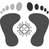 Digital Native logo - Similar company to Digital Native Group