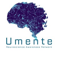 Umente Neuroscience Awareness Network logo - Similar company to Snelleweb