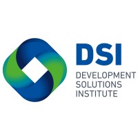 Development Solutions Institute logo - Similar company to Arnold Financial Services