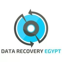 Data Recovery Egypt logo - Similar company to Data Cracker